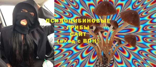 соль курить ск Инсар
