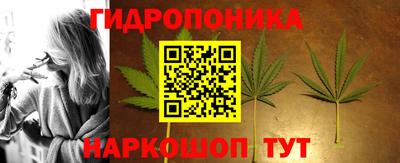ALPHA PVP Канаш
