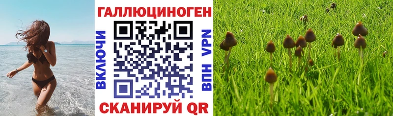 Галлюциногенные грибы ЛСД  хочу наркоту  Соль-Илецк 