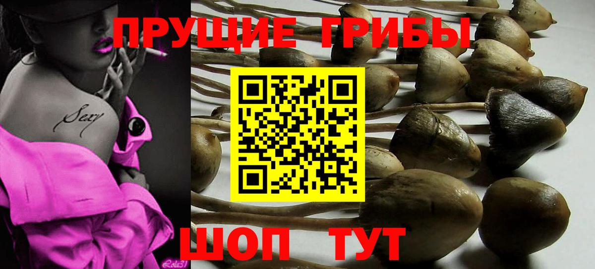 наркота  Вход с VPN  Соль-Илецк  Галлюциногенные грибы Psilocybe  Галлюциногенные грибы MAGIC MUSHROOMS 